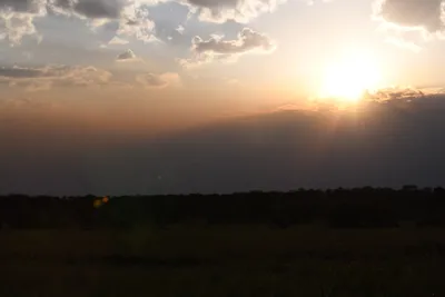 DSC_3697 (Large).JPG